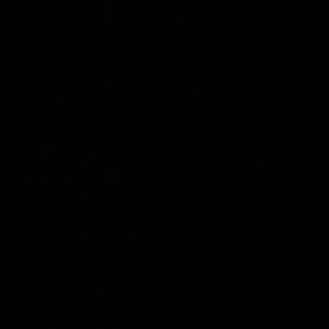 Meet your Posher, Rupert